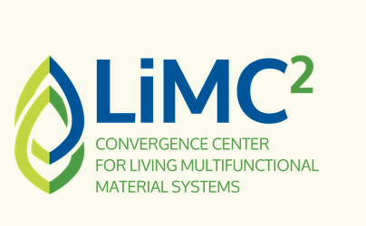 logo limc2
